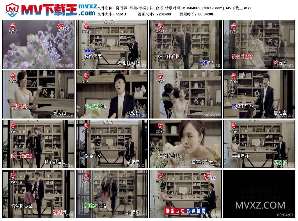 陈百潭_凤娘-幸福干杯_台语_情歌对唱_MC504002